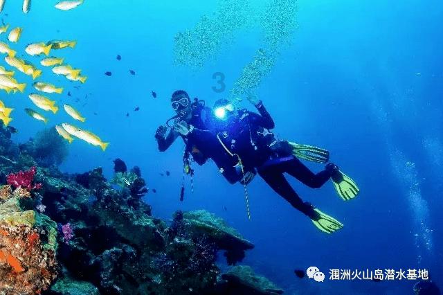 逃出茂密的丛林
